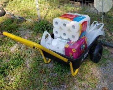 Gorilla Carts Poly Dump Cart, 2-Wheel Garden Wagon, 4 Cu Ft, 300lb Capacity customer photo 2