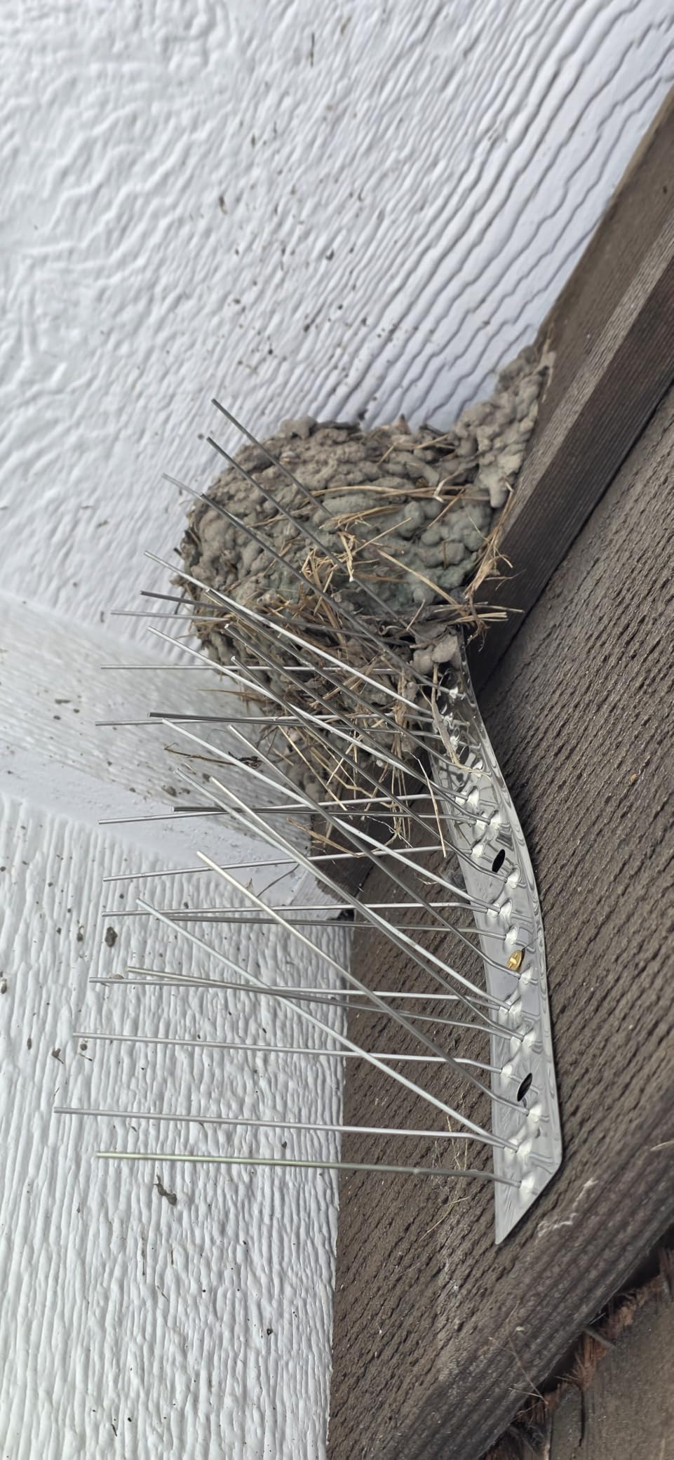 OFFO Bird Spikes, 304 Stainless Steel, 9 Pcs, 10.2 Ft (3.1 m) customer photo 1