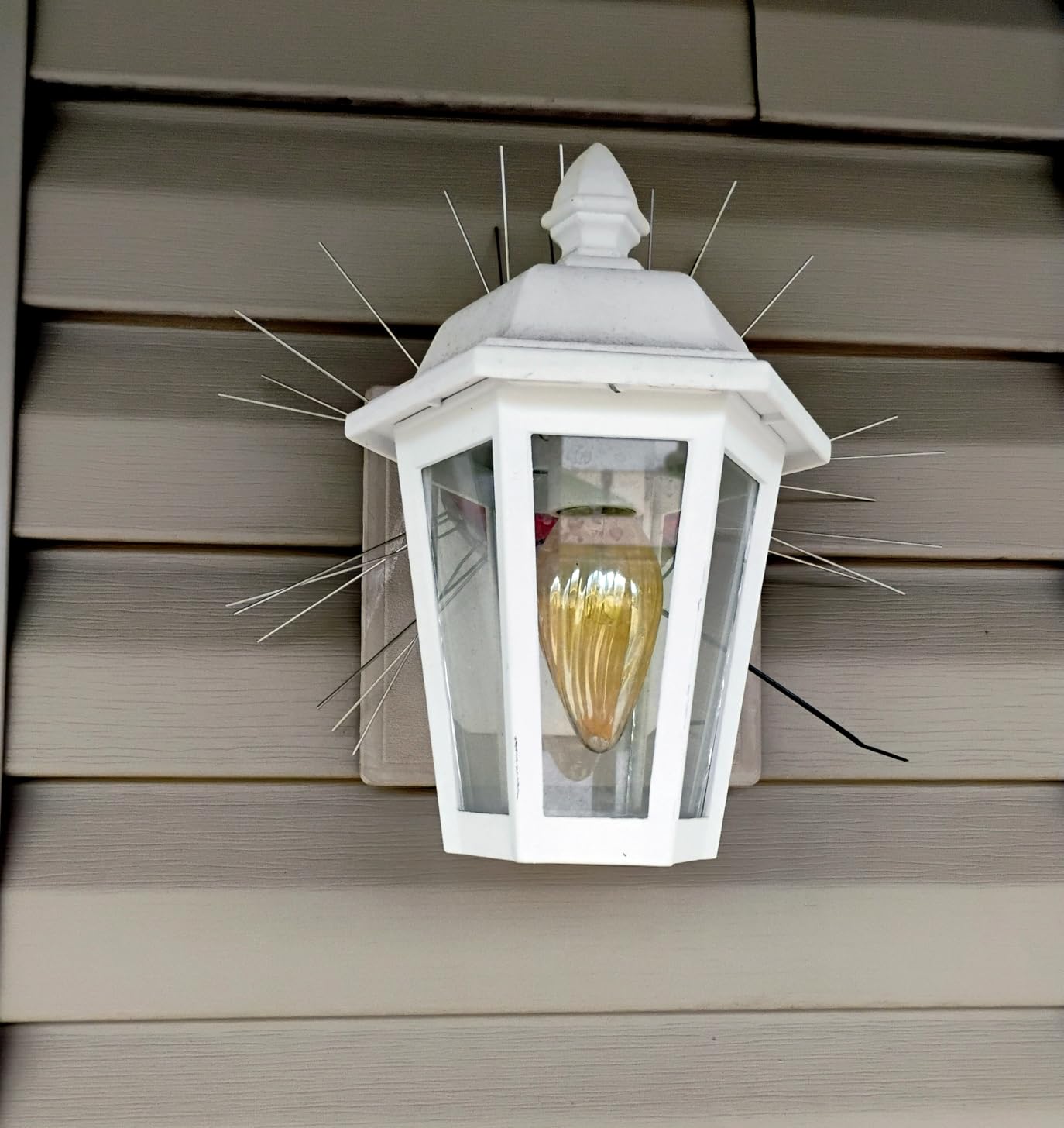 OFFO Bird Spikes, 304 Stainless Steel, 9 Pcs, 10.2 Ft (3.1 m) customer photo 2