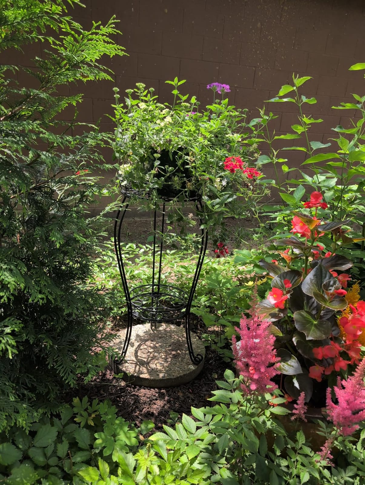 TREEZITEK 11.8 inches Diameter Tall Metal Plant Stand for Indoor or Outdoor,Heavy Duty Flower Pot Stand Rack Holds Big Heavy Plants,Black (18.9 INCHES TALL) customer photo 2