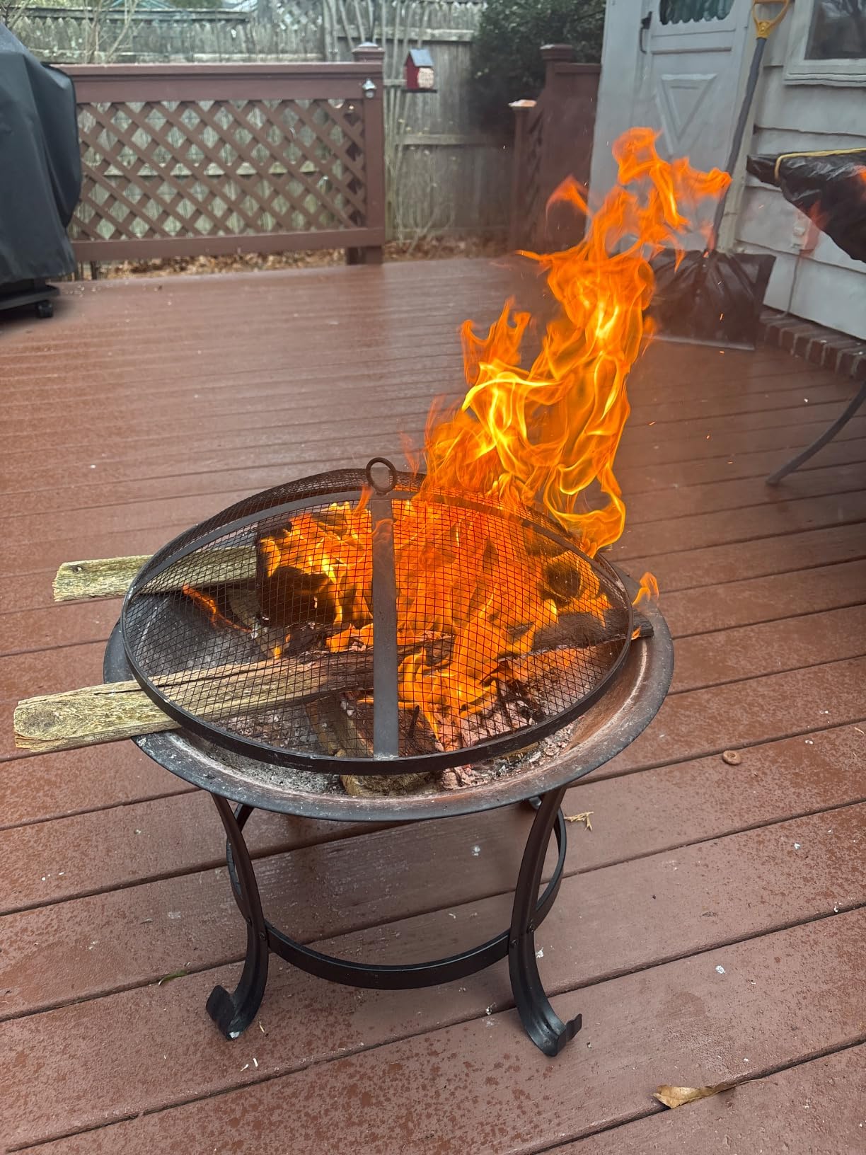 Fire Beauty 22