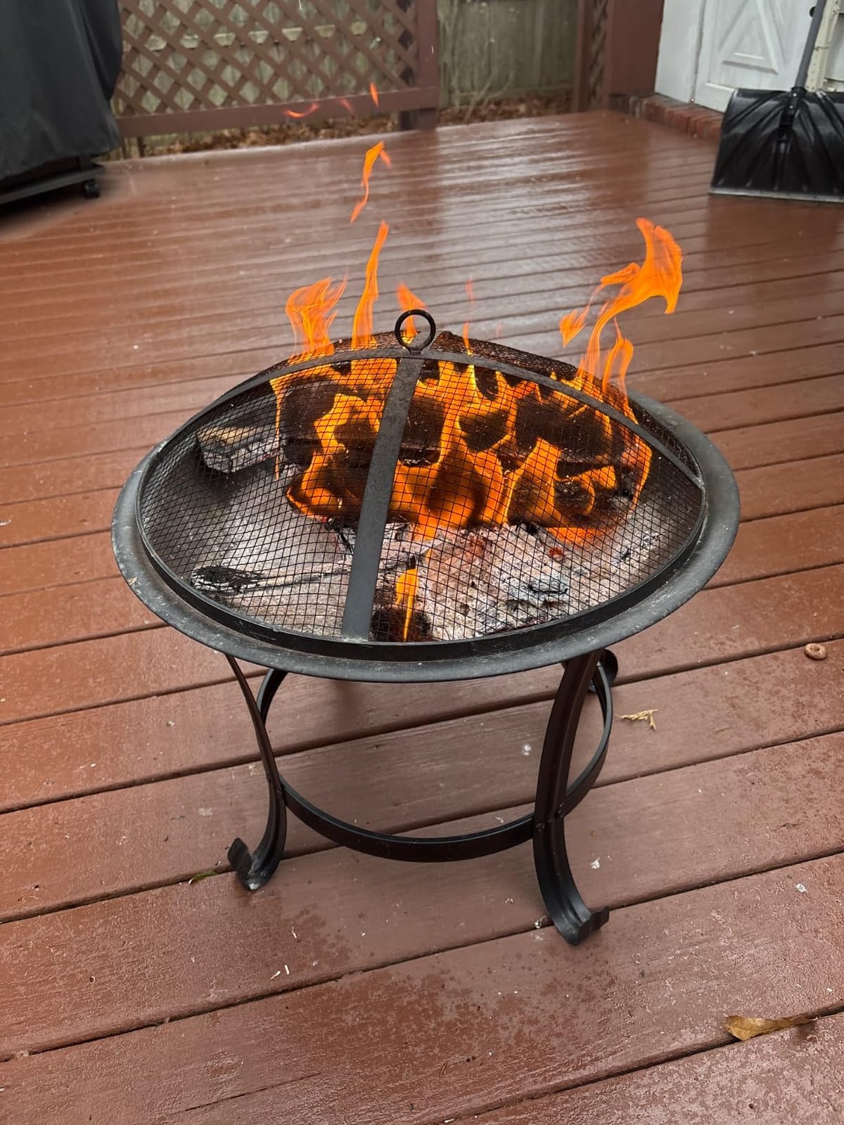Fire Beauty 22