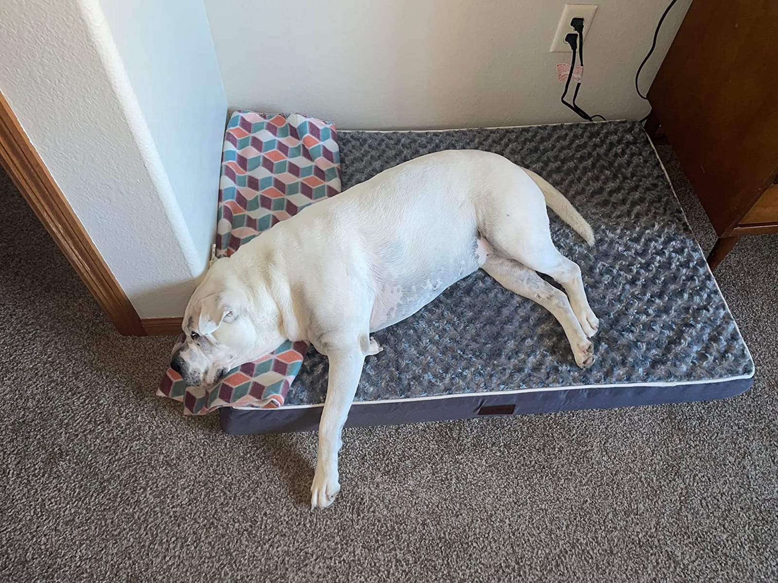 WESTERN HOME WH Orthopedic XL Dog Bed Extra Large Washable Pet Bed, 42in customer photo 1
