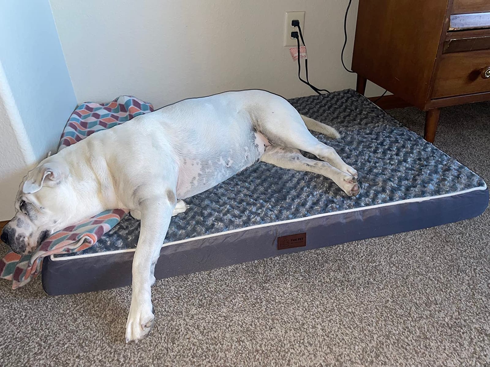 WESTERN HOME WH Orthopedic XL Dog Bed Extra Large Washable Pet Bed, 42in customer photo 2