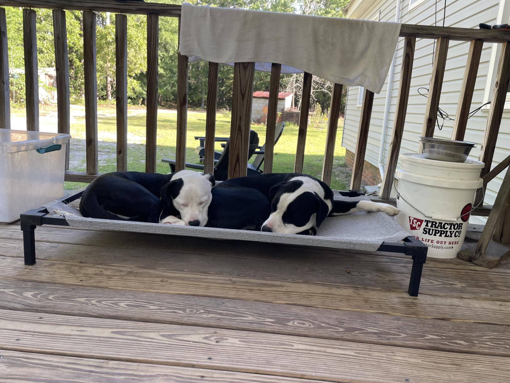 K&H Outdoor Elevated Dog Bed for Large & Extra-Large Pets, Tan, XL 50x32in customer photo 2