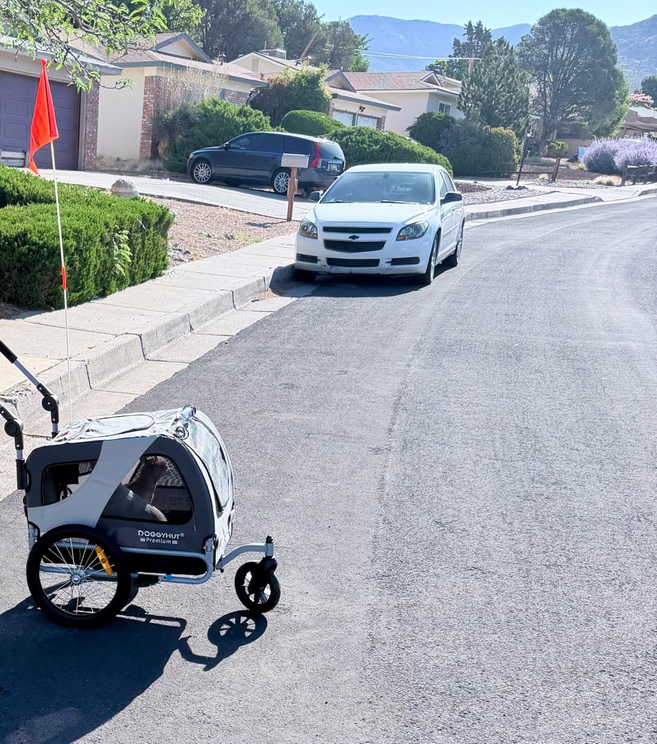 DOGGYHUT® Premium M Pet Bike Trailer & Stroller Up to 50 lbs (Lime Green) customer photo 2