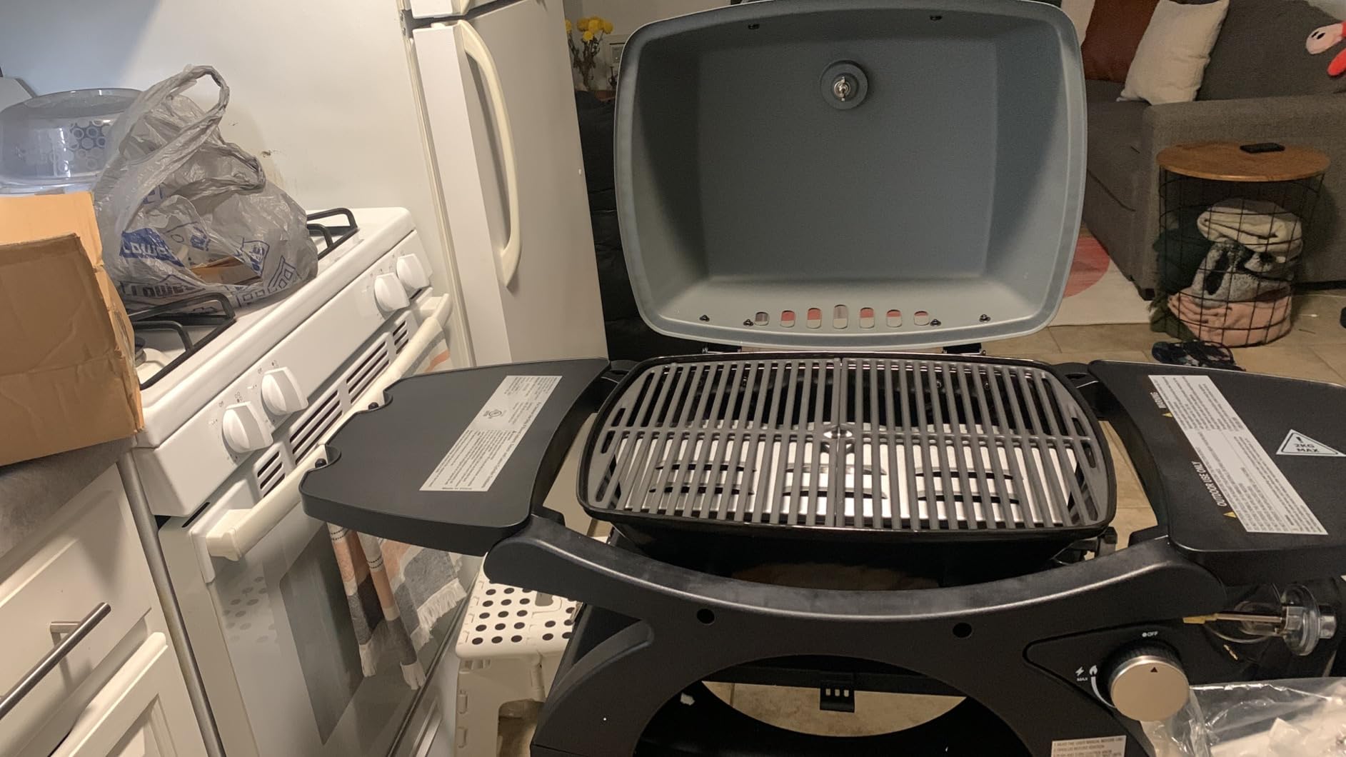 MASTER COOK Single Burner Propane Gas Grill, 11,500 BTU Portable Tabletop Barbecue Grill with Cart for Patio, Camping, Travel customer photo 2