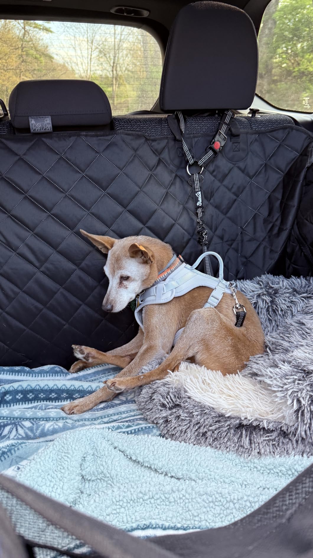 SlowTon Dog Seat Belt for Car, 2 Pack Dog Car Harness Seatbelt with Bungee customer photo 2