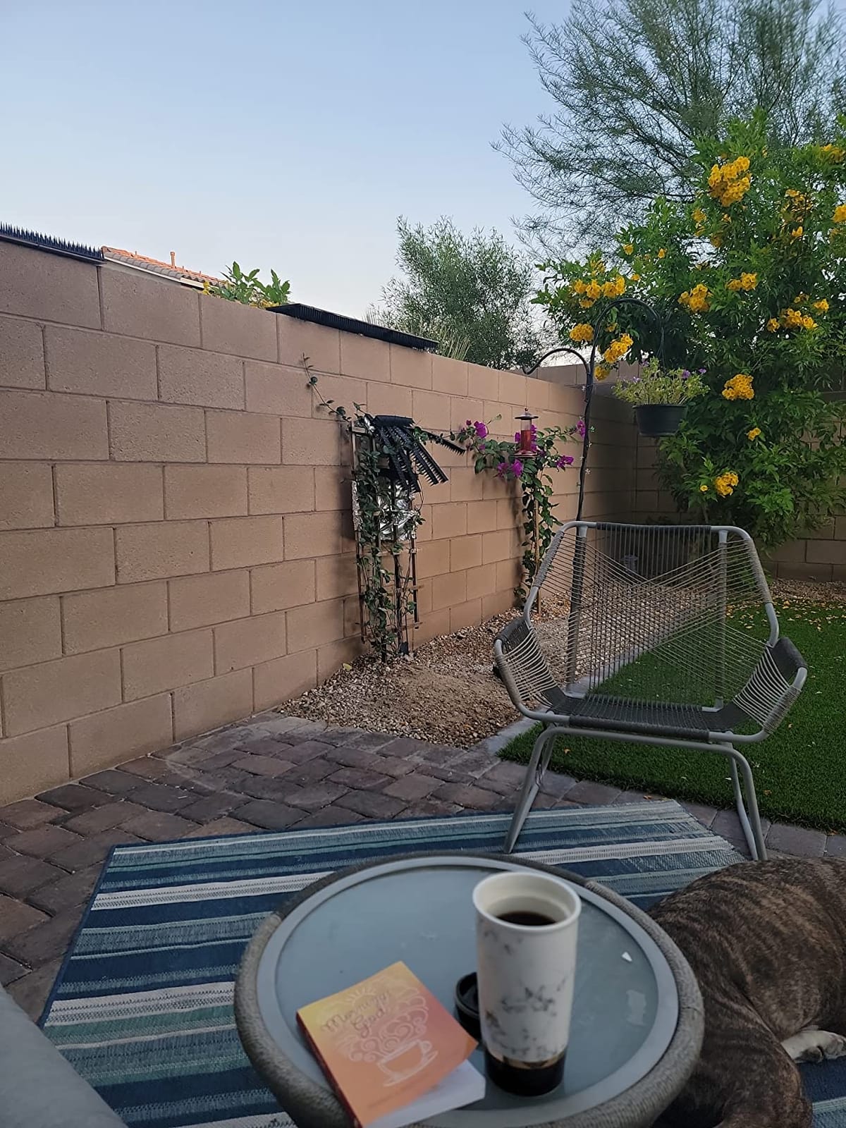 USKICH Bird Spikes 30 Packs Outdoor Cat and Bird Deterrent Spikes, Defender Spikes - Keep Pigeon, Cat & More Birds Away from Fences and Roof, Anti Theft Climb Strips (2023 Upgraded | 42.3 feet) customer photo 1