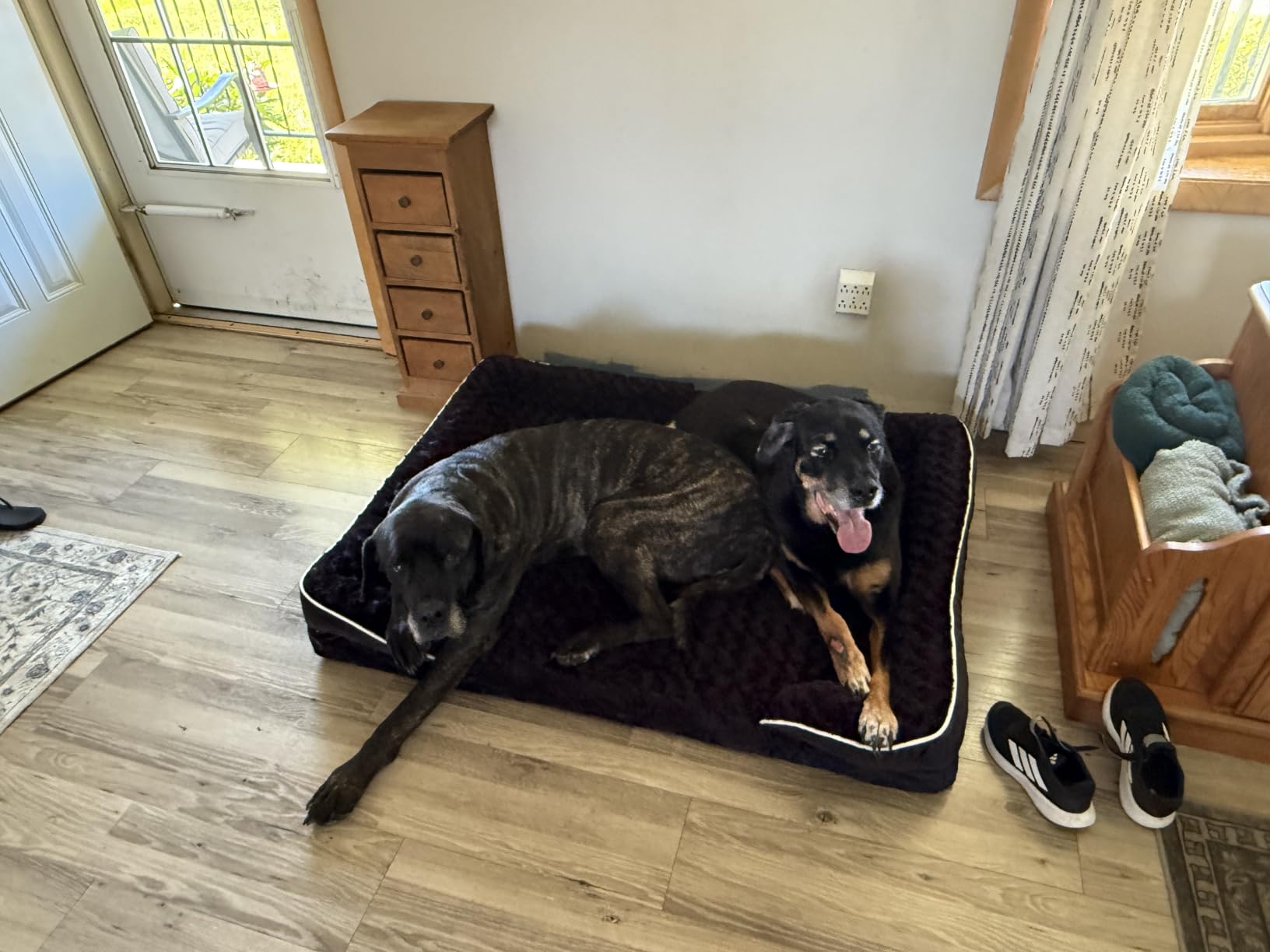 WNPETHOME Orthopedic Washable Dog Bed Large for Senior Dog Cozy Sleep customer photo 2