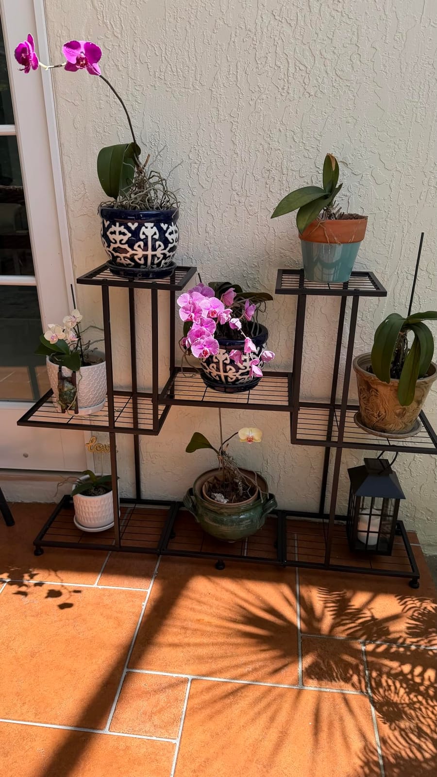 Twhep Heavy Duty Metal Plant Stand, large Multifunctional Plant Stand for Indoor Outdoor, for Tall Large Rack for Living Room Garden Balcony, Black(9 Tier) customer photo 1