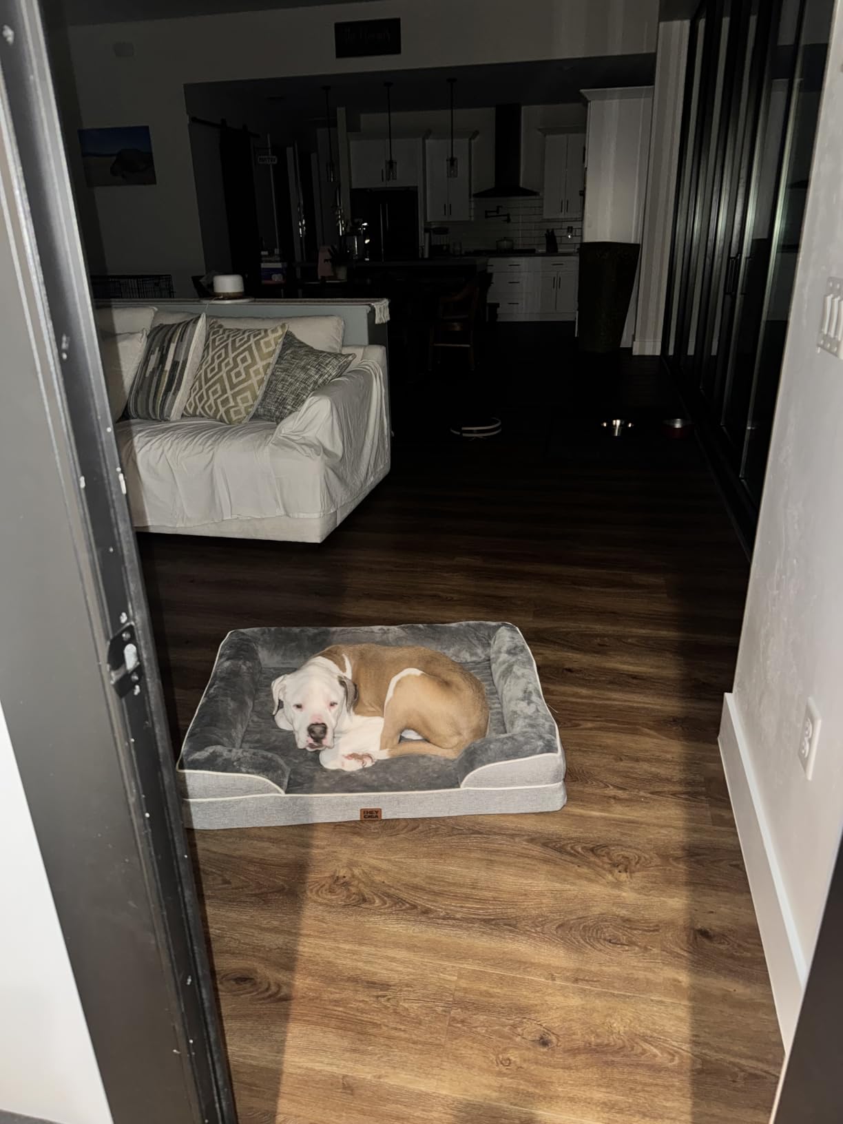 EHEYCIGA Orthopedic Dog Beds Large Sized Dog, Waterproof Memory Foam Pet Bed with Sides, Non-Slip Bottom Large Pet Bed with Washable Removable Cover, Grey customer photo 1