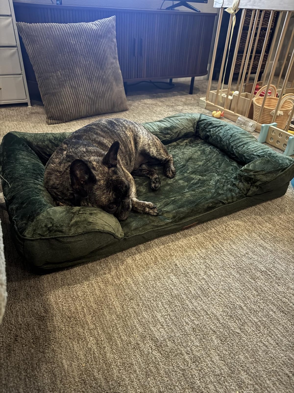 EHEYCIGA Orthopedic Dog Beds Large Sized Dog, Waterproof Memory Foam Pet Bed with Sides, Non-Slip Bottom Large Pet Bed with Washable Removable Cover, Grey customer photo 2
