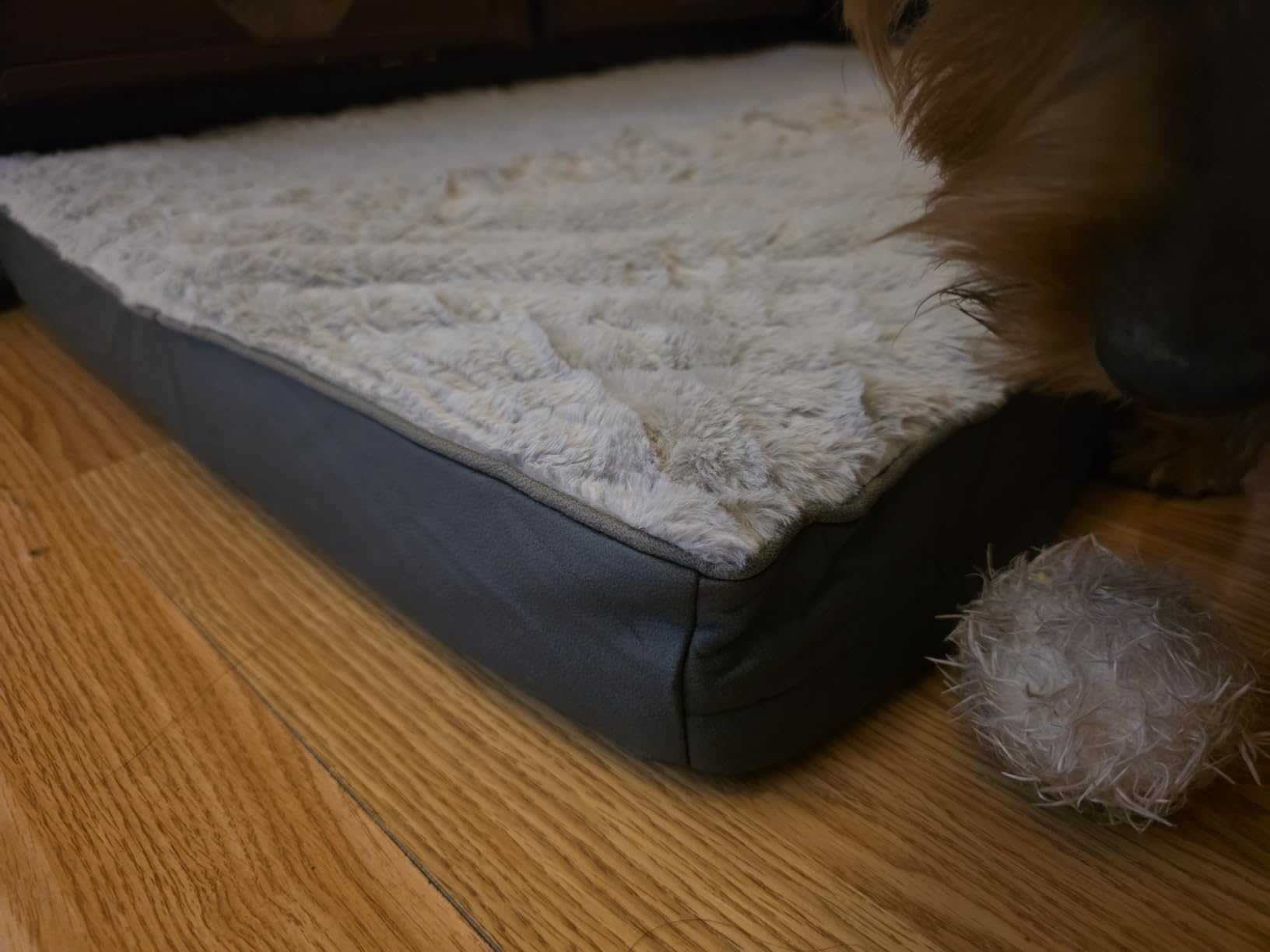 Sunheir Washable Orthopedic Large Dog Bed with Removable Cover, Pet Bed Mat customer photo 1