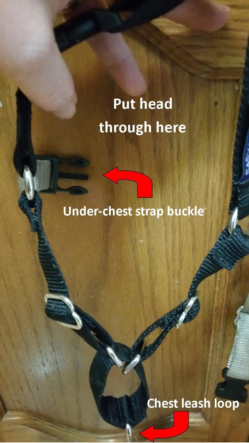 PetSafe Easy Walk Harness, No Pull Dog Harness, Charcoal Gray, Medium/Large customer photo 2