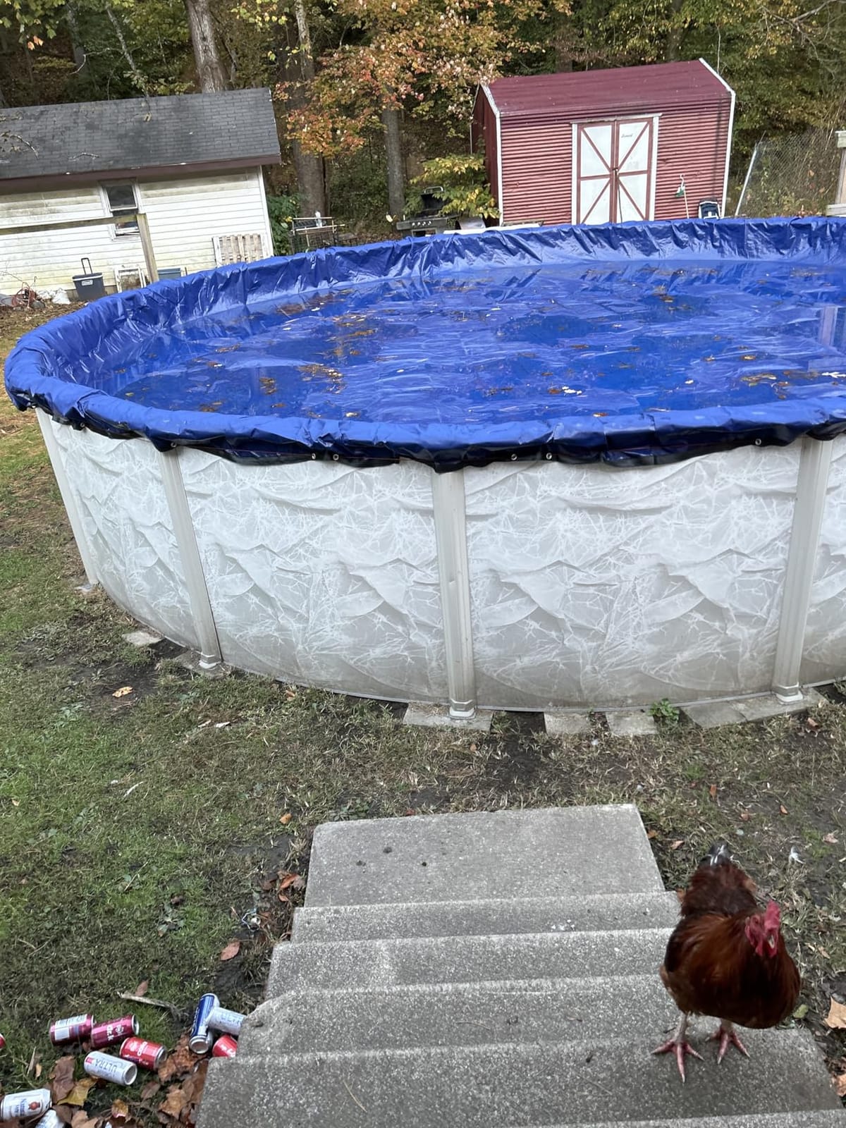 24 ft Round Heavy Duty Winter Pool Cover, Royal Blue, Above Ground Pool customer photo 1