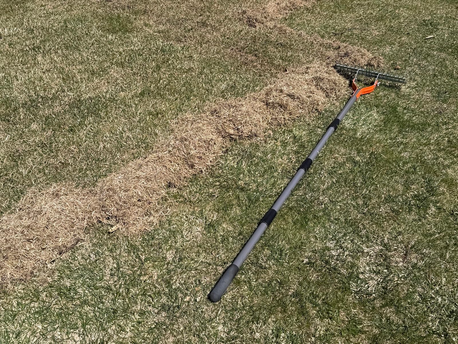 Walensee 15-Inch Thatch Rake for Lawn, 19-Tine Dethatcher, 70-Inch Handle customer photo 1