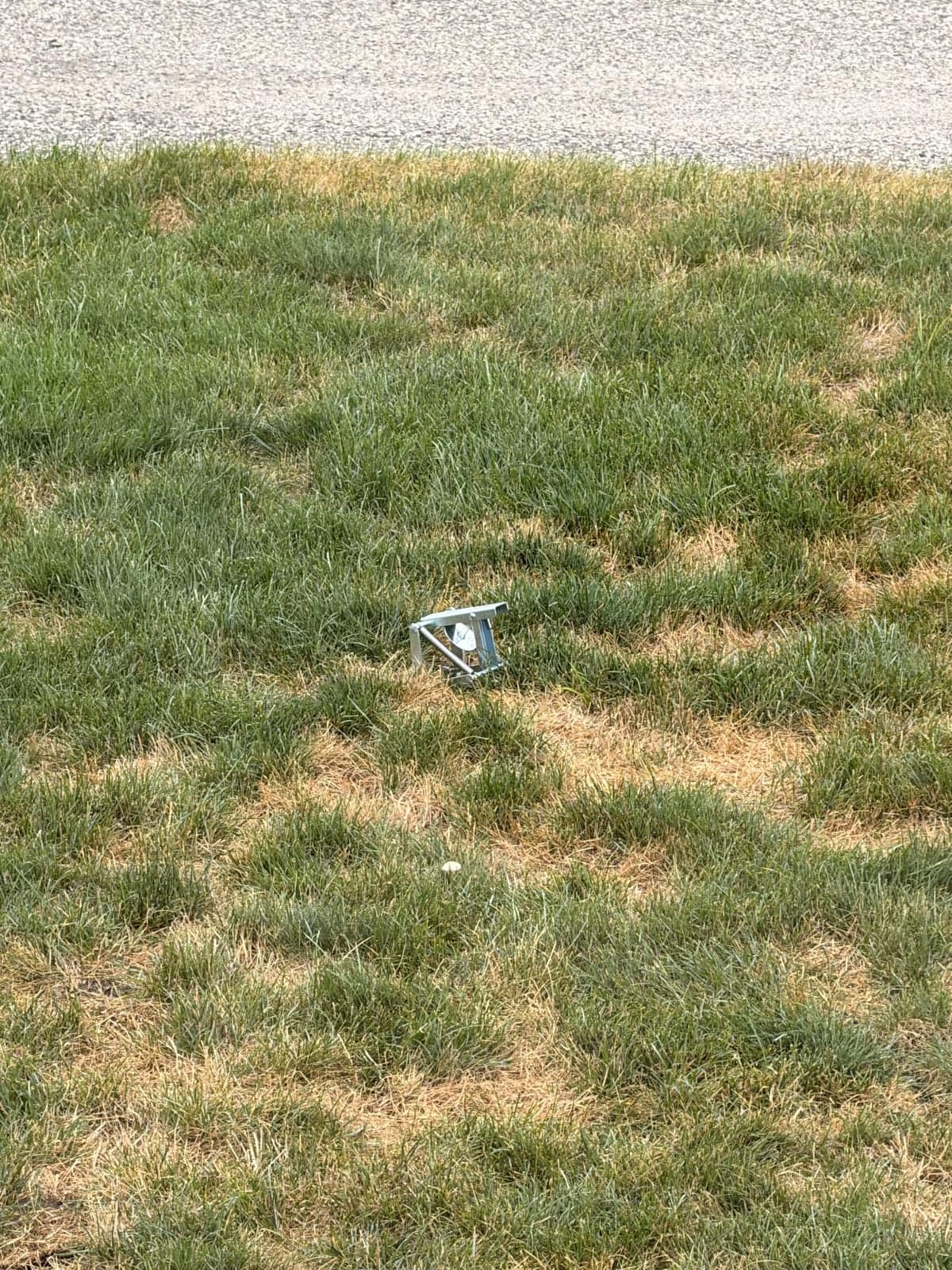 Mole Trap Scissor 2 Pack, Polaflex Mole Traps for Lawns, Step-Set customer photo 2