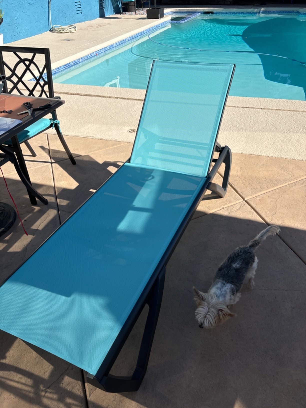Domi Patio Lounge Chairs Set of 2, Aluminum Pool Chaise Lounge with 5 Position Adjustable Backrest and Wheels, Outdoor Lounge Chairs for Pool, Garden, Beach, Backyard, Turquoise Blue customer photo 1