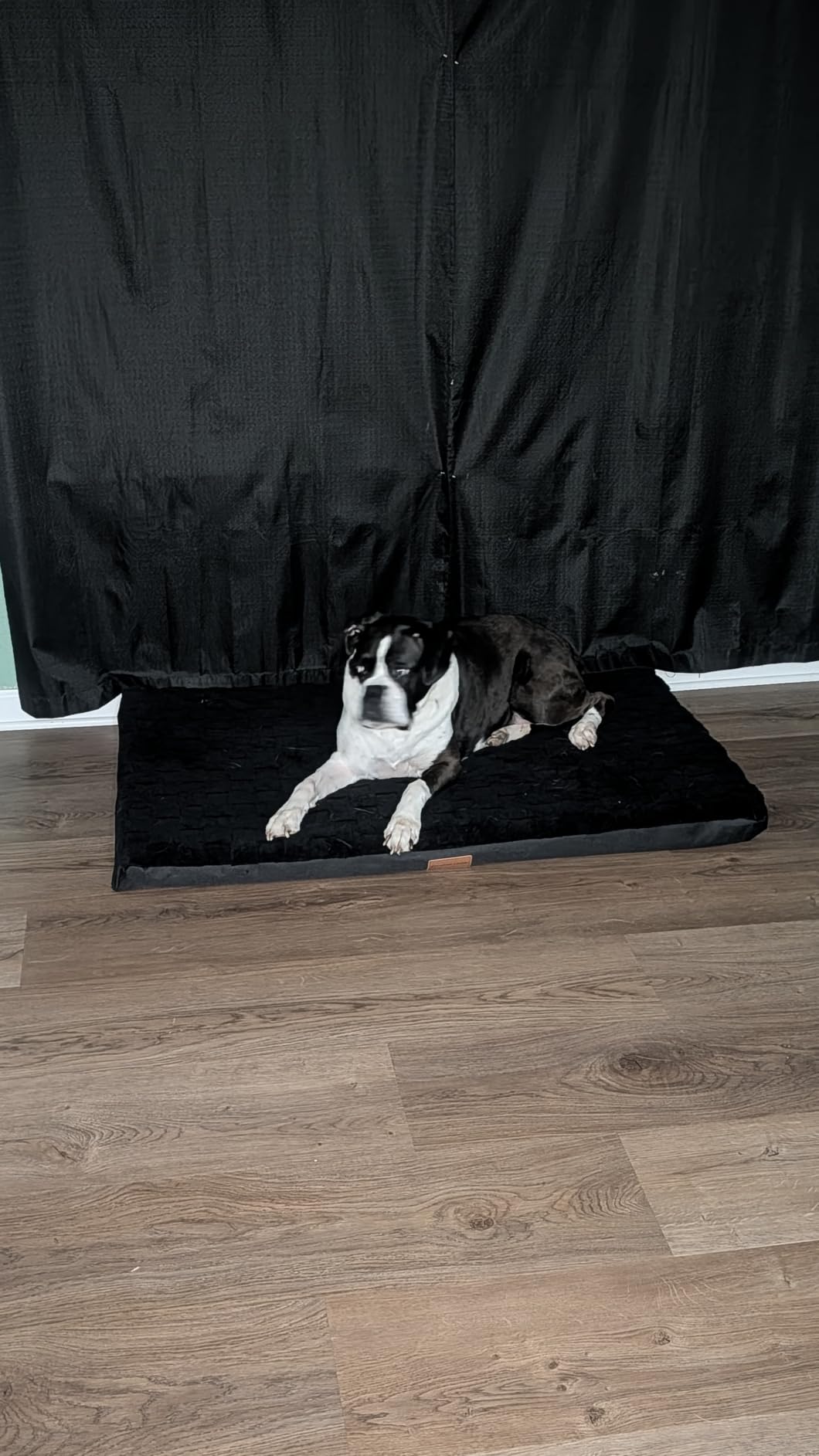 Patas Lague Orthopedic Large Dog Bed Washable Pet Crate Mat 36''X24'' Black customer photo 1