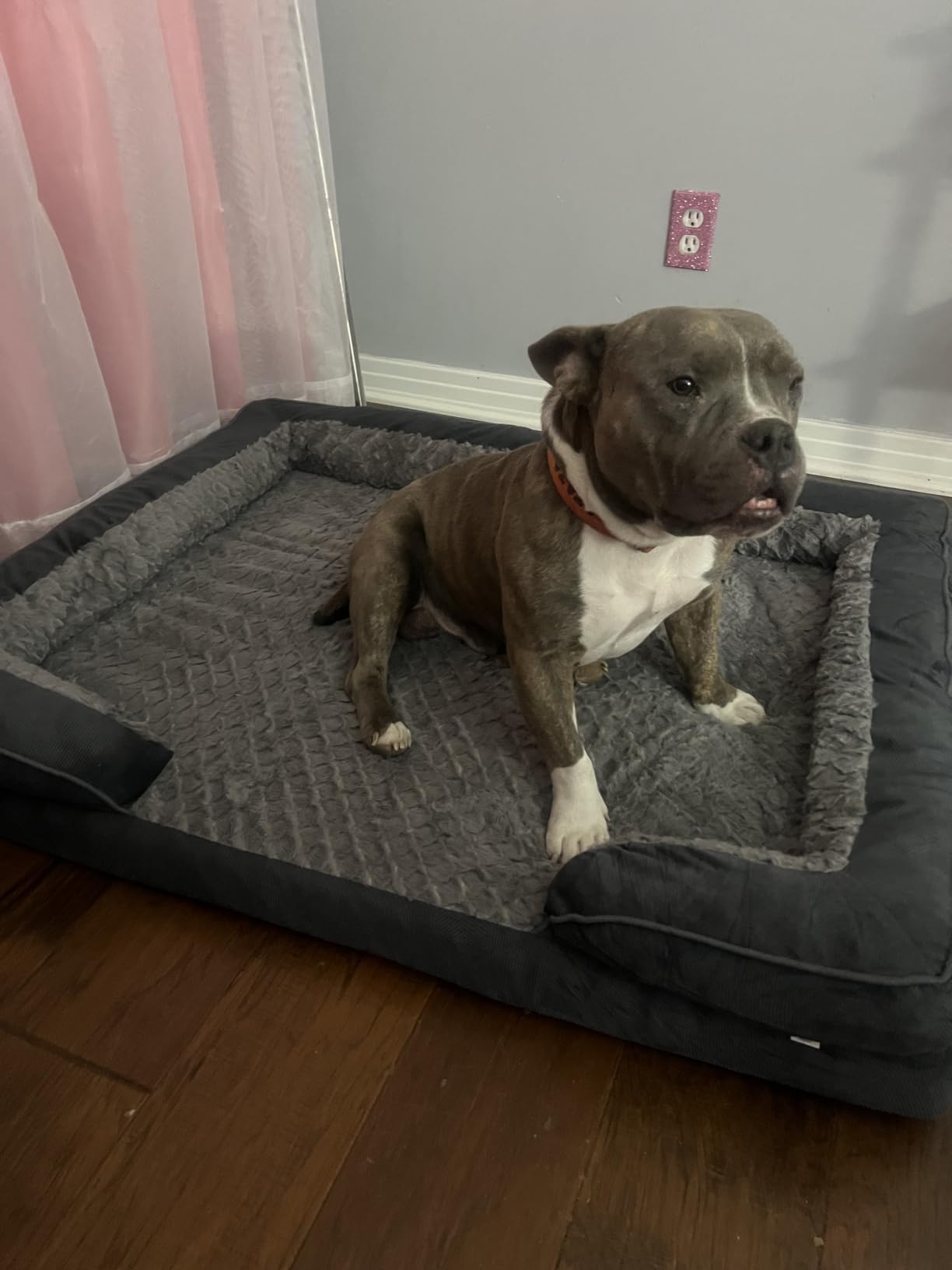 INVENHO Orthopedic Large Dog Bed, Washable Waterproof, Egg-Crate Foam Dog Couch Bed with Washable Removable Cover, Waterproof Lining and Nonskid Bottom customer photo 1