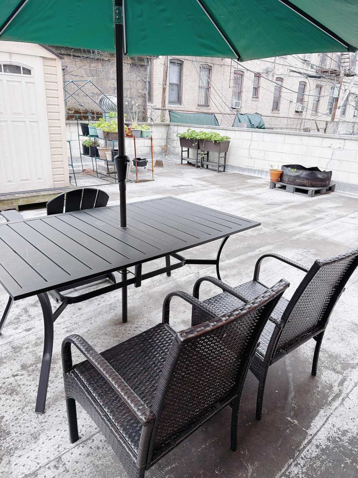 Outdoor Wicker Patio Dining Chairs with Padded Cushions Set of 4: Porch Rattan Chairs Club Chairs with High Back and Deep Seating 350lbs, Brown customer photo 1