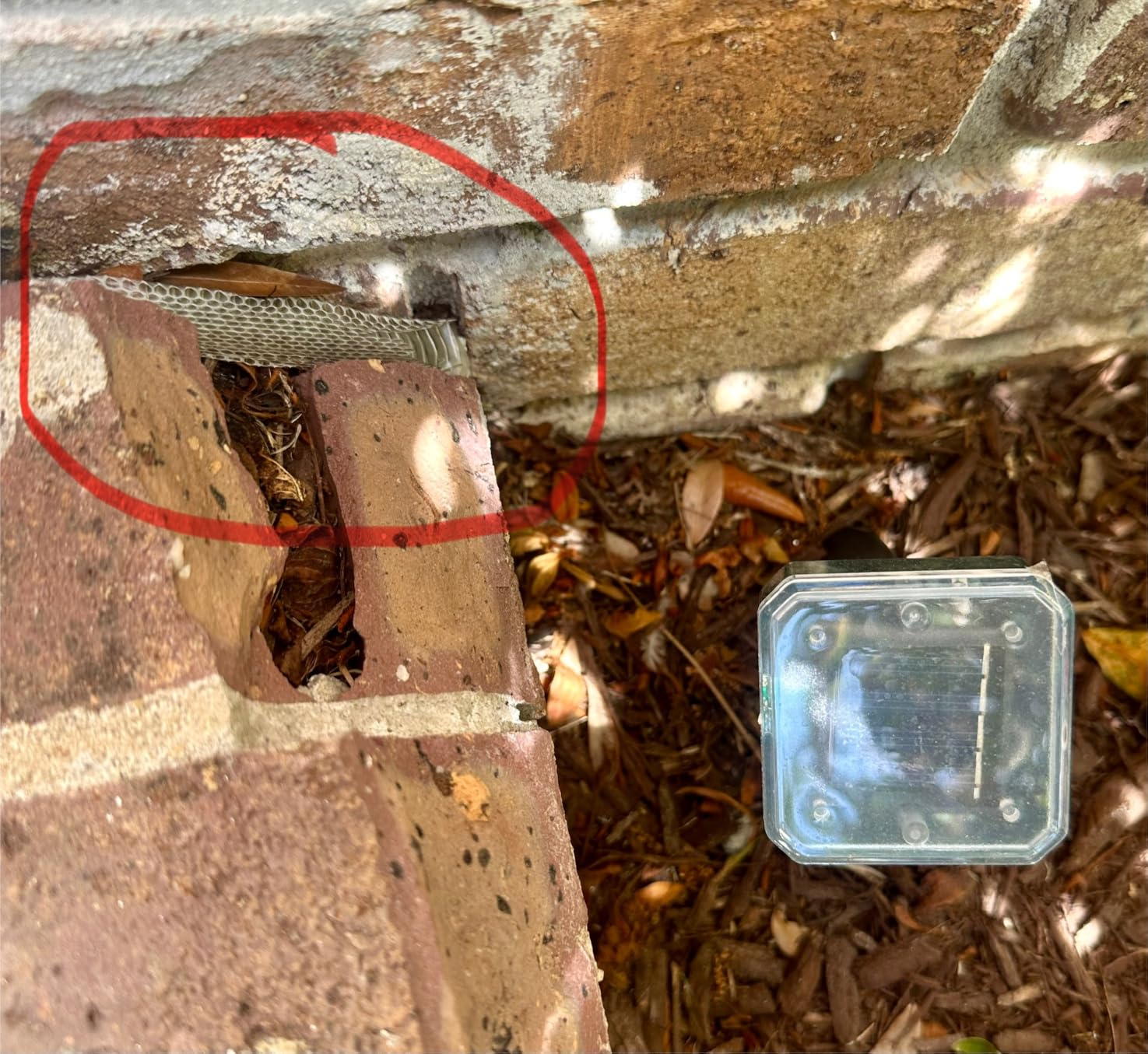 Solar-Powered Snake Repellent for Yard & Outdoors customer photo 2