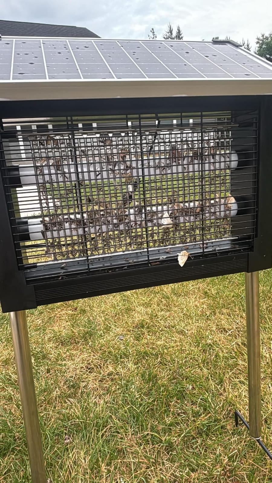 OnBeam Solar Bug Zapper Outdoor, 4500V Mosquito Zapper Fly Trap for Patio customer photo 1