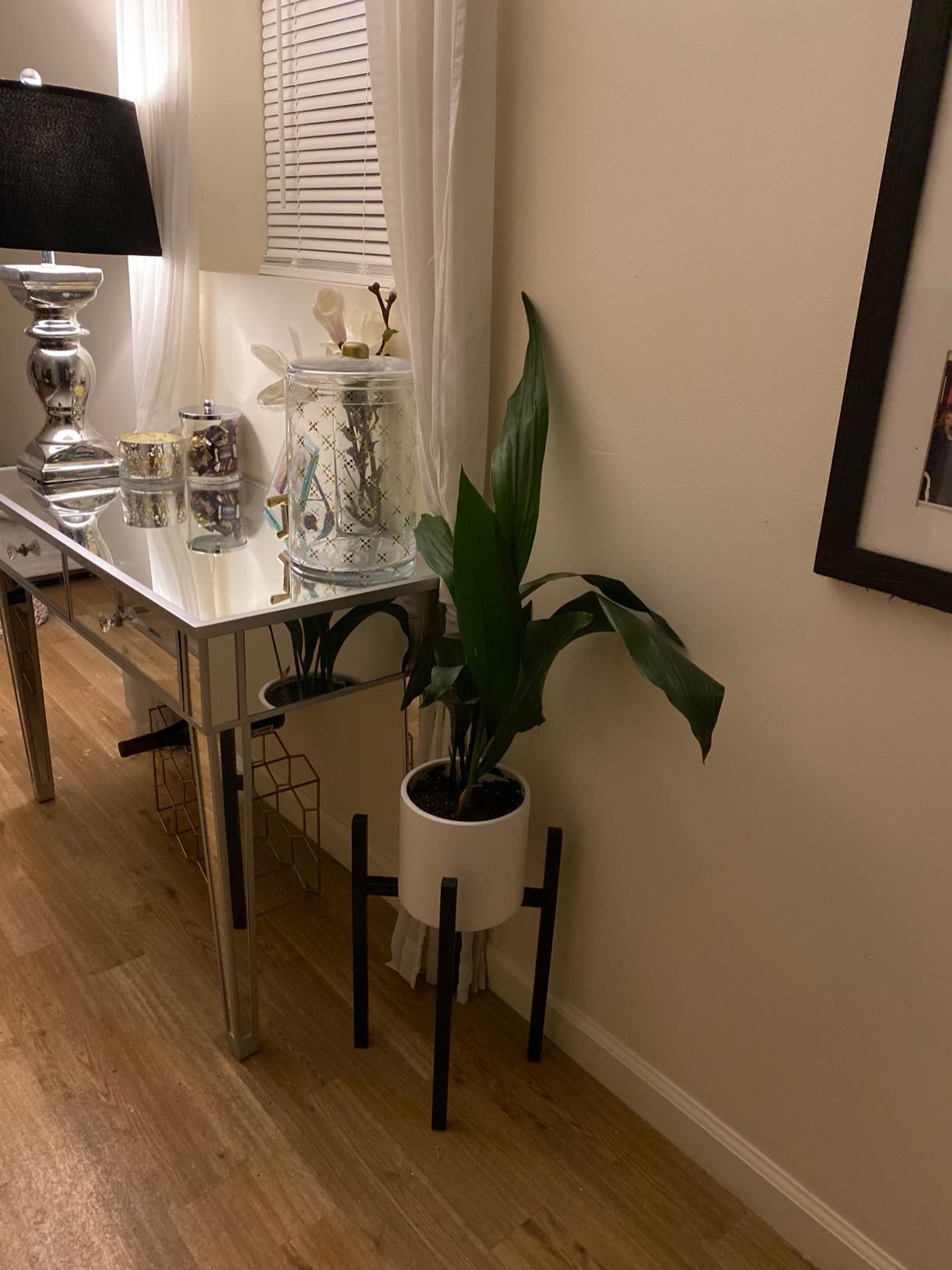 Sorbus Adjustable Metal Plant Stand – Mid Century Style Flower Pot Holder, 10 to 16 Inches Planter Stand for Modern Home Décor, Houseplants – Plant & Pot NOT INCLUDED (Brown, 1 Pack) customer photo 2