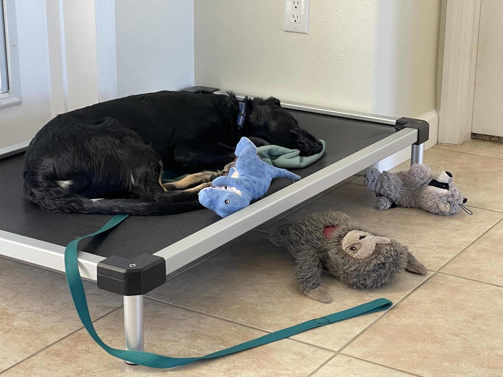 FXW TitanNest Cooling Chew-Proof Elevated Dog Bed for Large Dogs customer photo 1