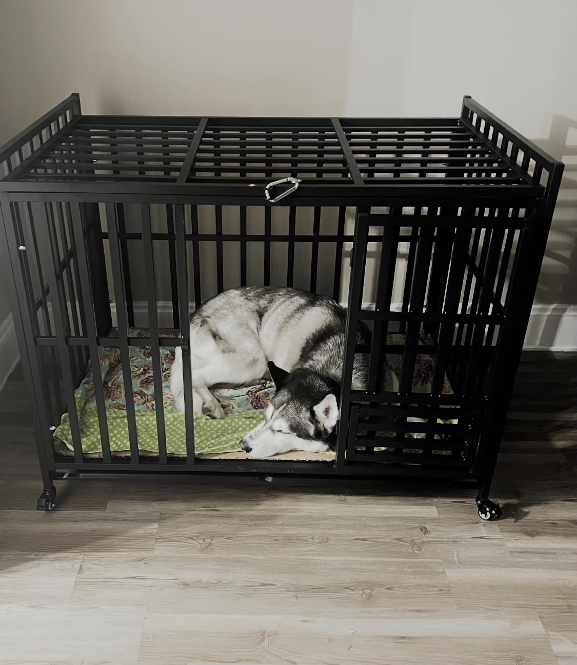 Heavy Duty Dog Crate, 49'' Large Indestructible Cage for High-Anxiety Dogs customer photo 1