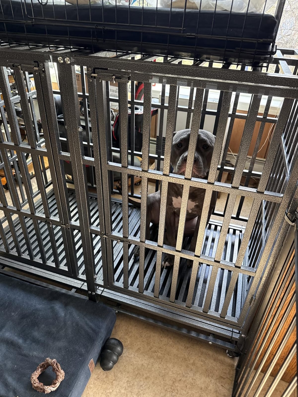 48 Inch Dog Crate Furniture, Heavy Duty Wooden Dog Kennel for Large Dogs, Chew Proof & Escape-Proof Indoor Dog Cage with TV Stand, for Anxious Dogs, Black Brown Cabinet customer photo 2