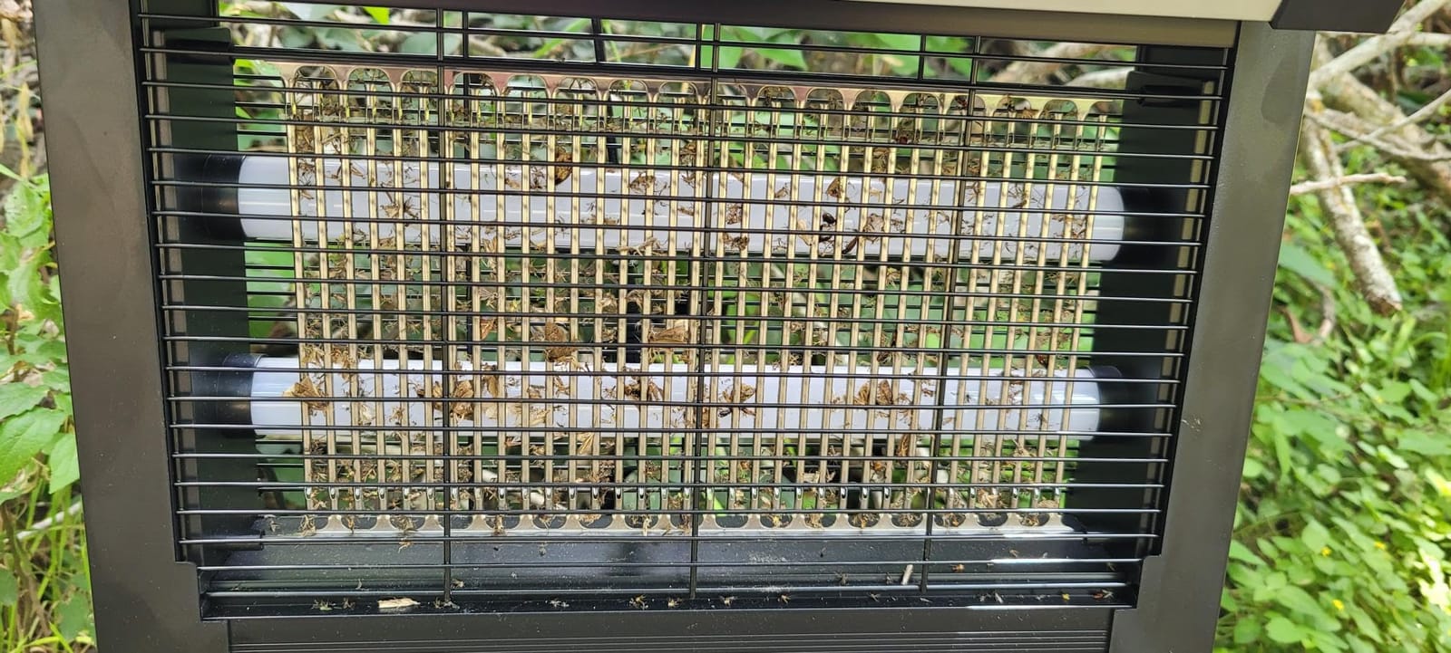 Solar Bug Zapper Outdoor, 4500V Rechargeable Mosquito Zapper customer photo 1