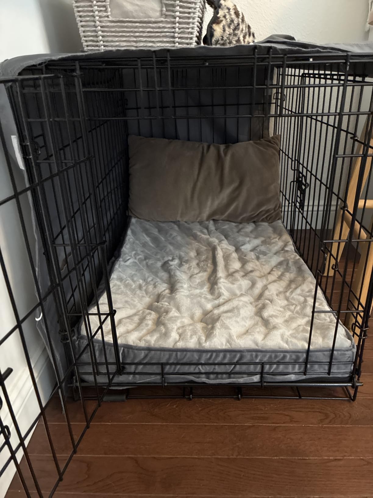 OhGeni Orthopedic Large Dog Bed, Reversible Memory Foam, 41 inch-XL(Gray) customer photo 2