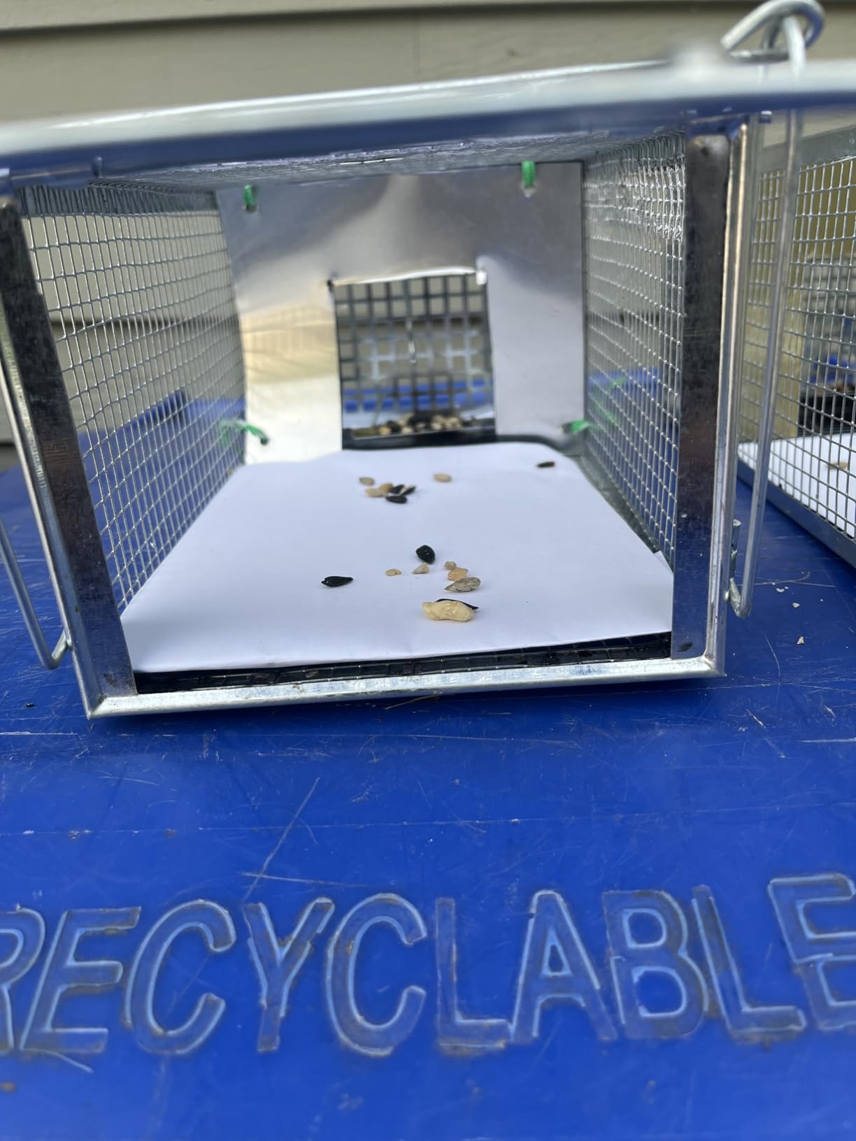 Live Squirrel Trap, Foldable Heavy Duty Humane Animal Cage Trap, Large Rat Trap Cage Catch and Release, Rodent Rabbit Trap for Indoor and Outdoor - 17” L x 7.9” W x 7.5” H customer photo 1
