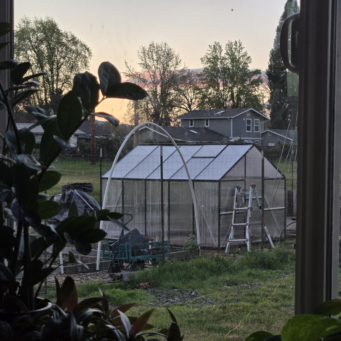 6x10FT Greenhouse with Hygrometer, Windproof Warm Plant Green Houses customer photo 2