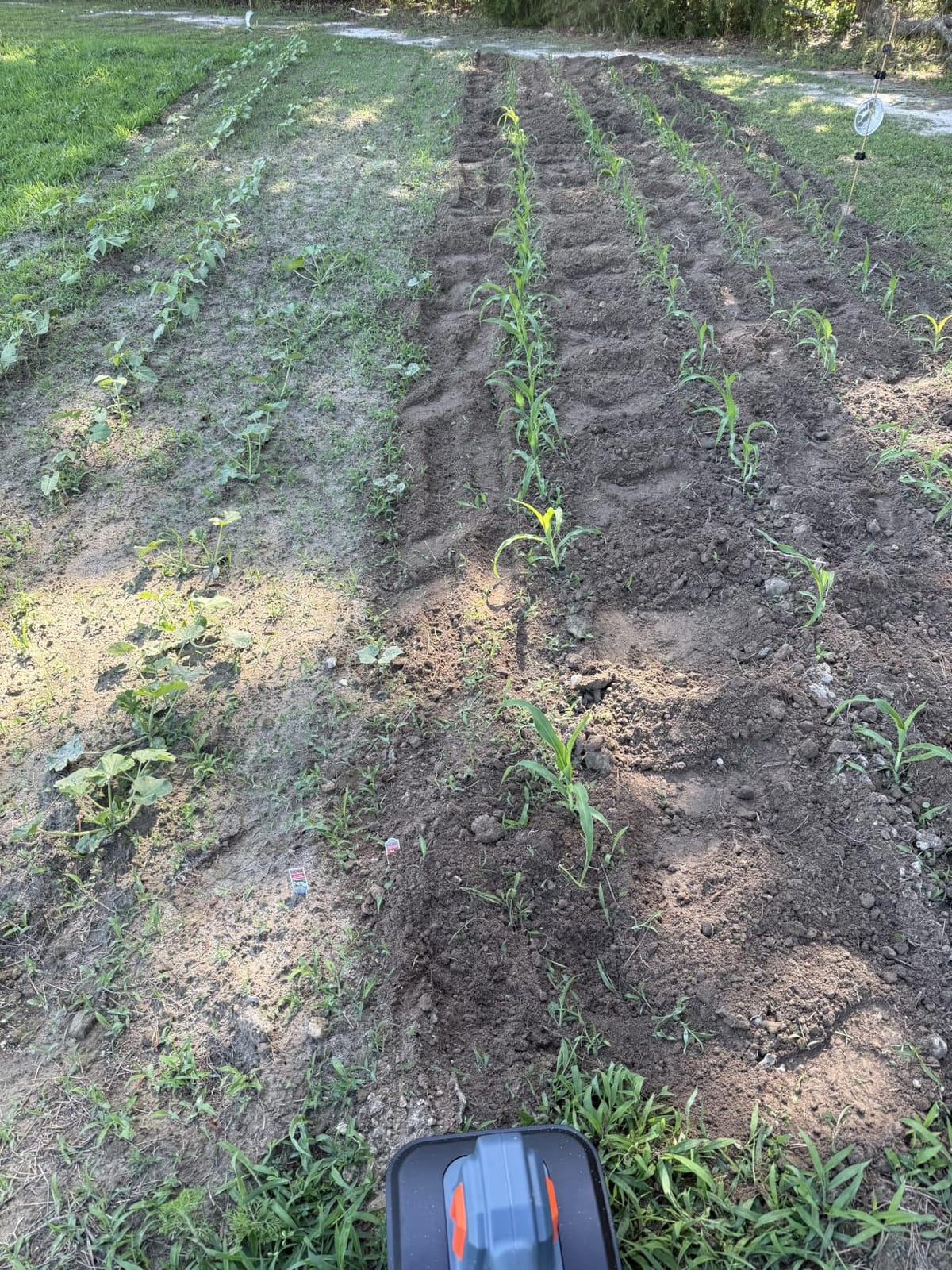 Cordless Tiller Cultivator for Gardening, Battery Powered Garden Rototiller customer photo 2