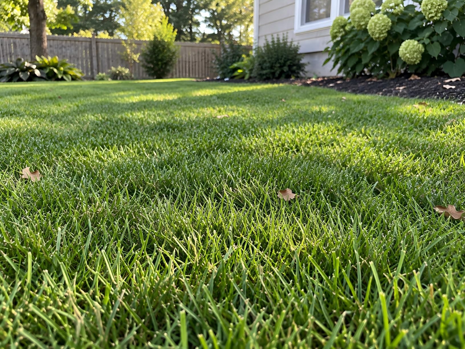 Mole and Snake Repellent Outdoor, Mole Repellent, Gopher Repellent,16 Packs customer photo 1