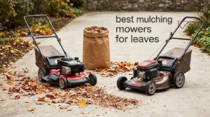 best mulching mowers for leaves