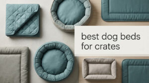 best dog beds for crates